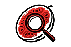青空光 - 吃瓜社Logo